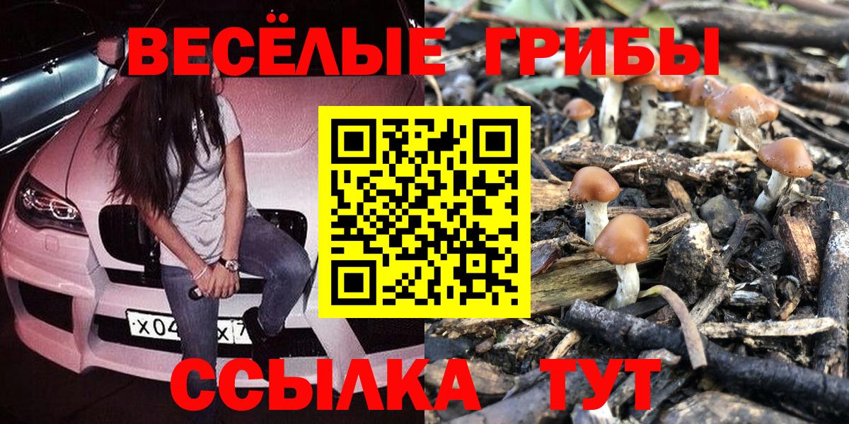 Псилоцибиновые грибы Cubensis  Вход с VPN  сколько стоит  Выкса 